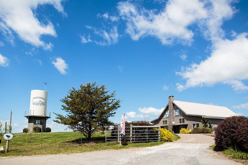 Mountain-View Winery